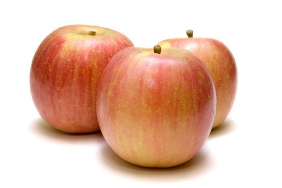 Fuji apple
